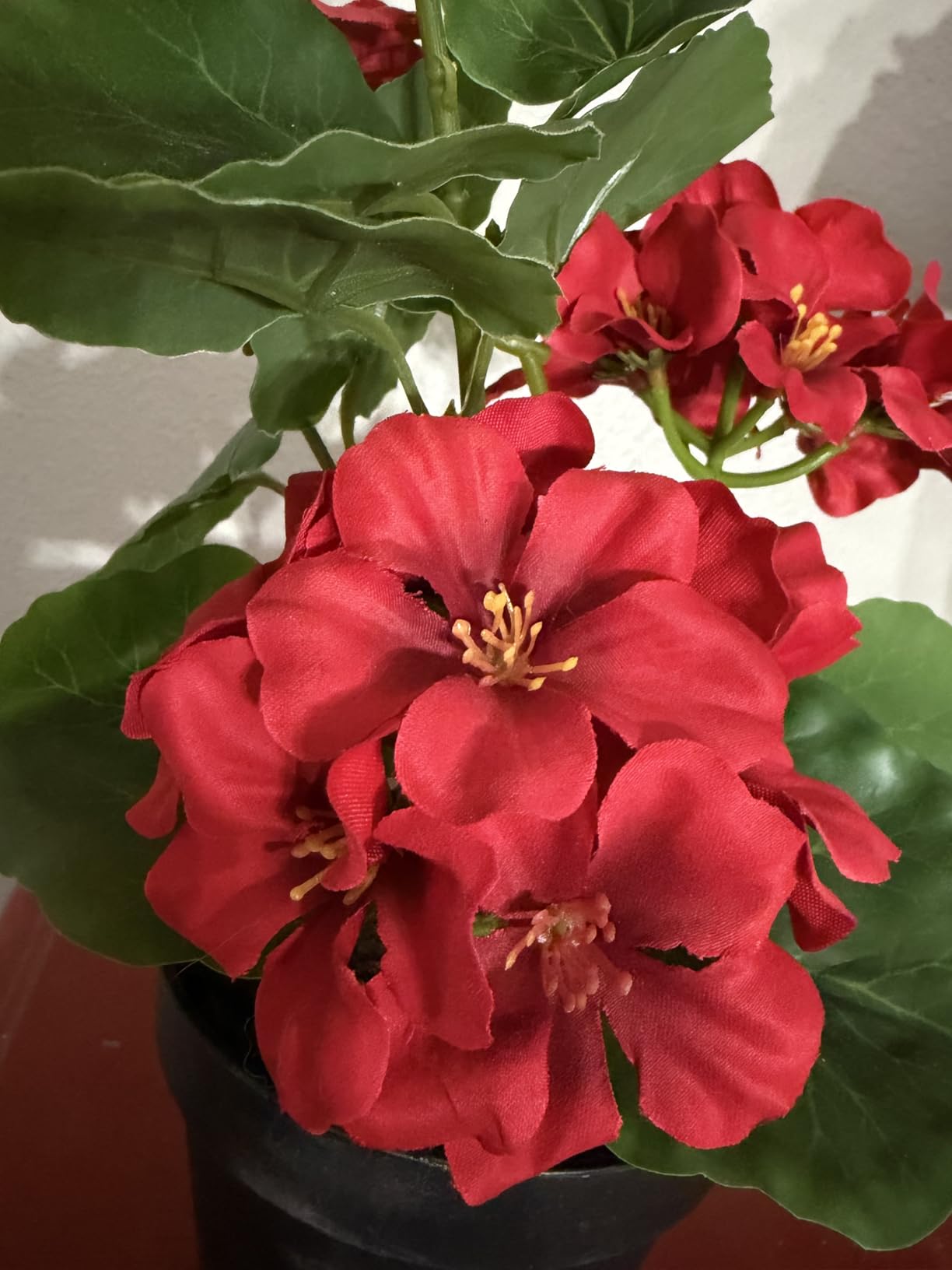 Customer Image