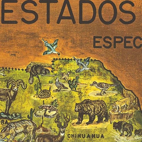 Miniatura 6 de Mapa pictorial de los Estados Unidos Mexicanos alrededor de 1966 | Ilustrado con fauna y especies de México | Póster de estilo vintage para