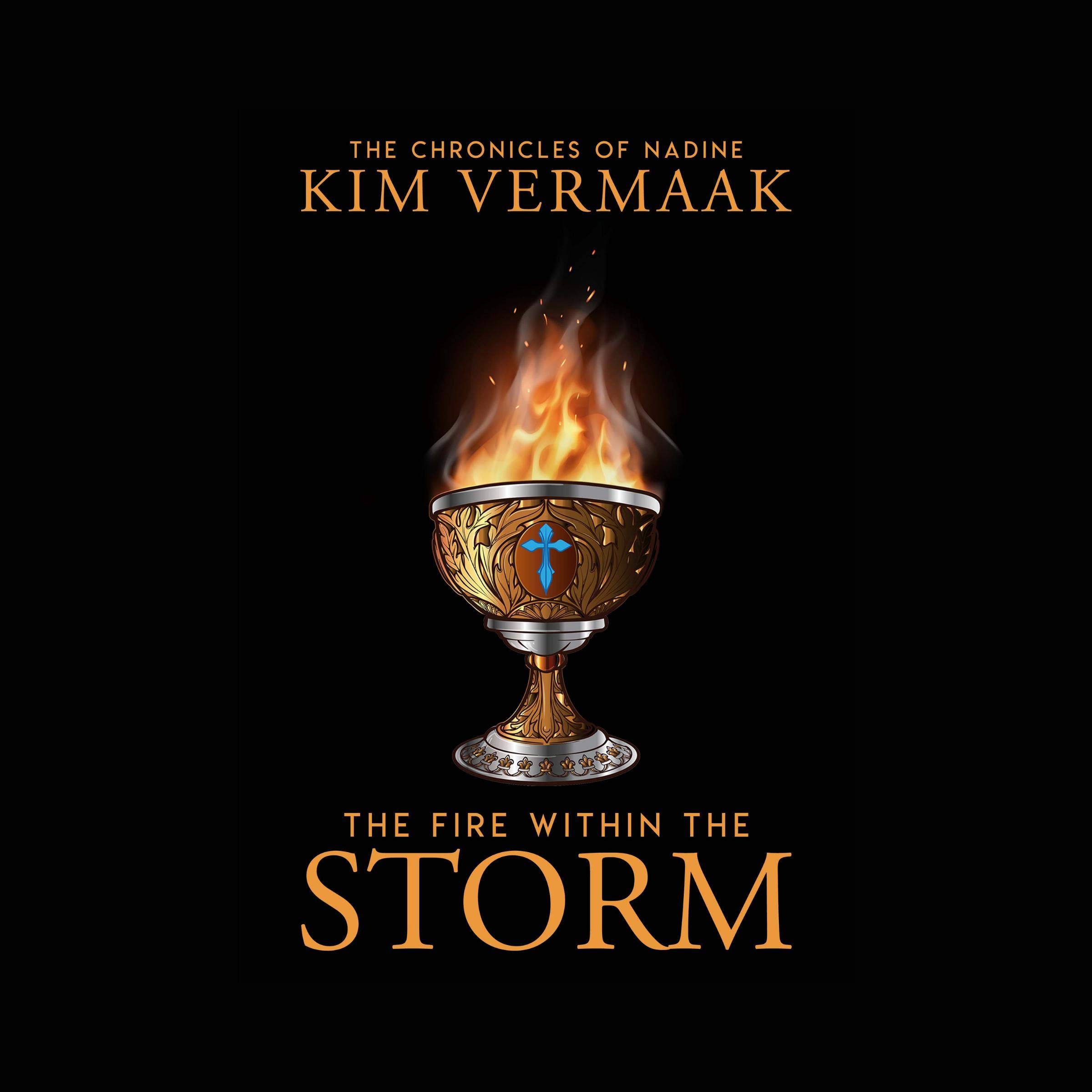 Cover art for The Fire Within the Storm