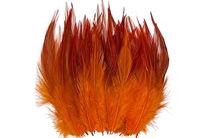 100 Pieces 5-7 Inch Orange Feather for Crafts