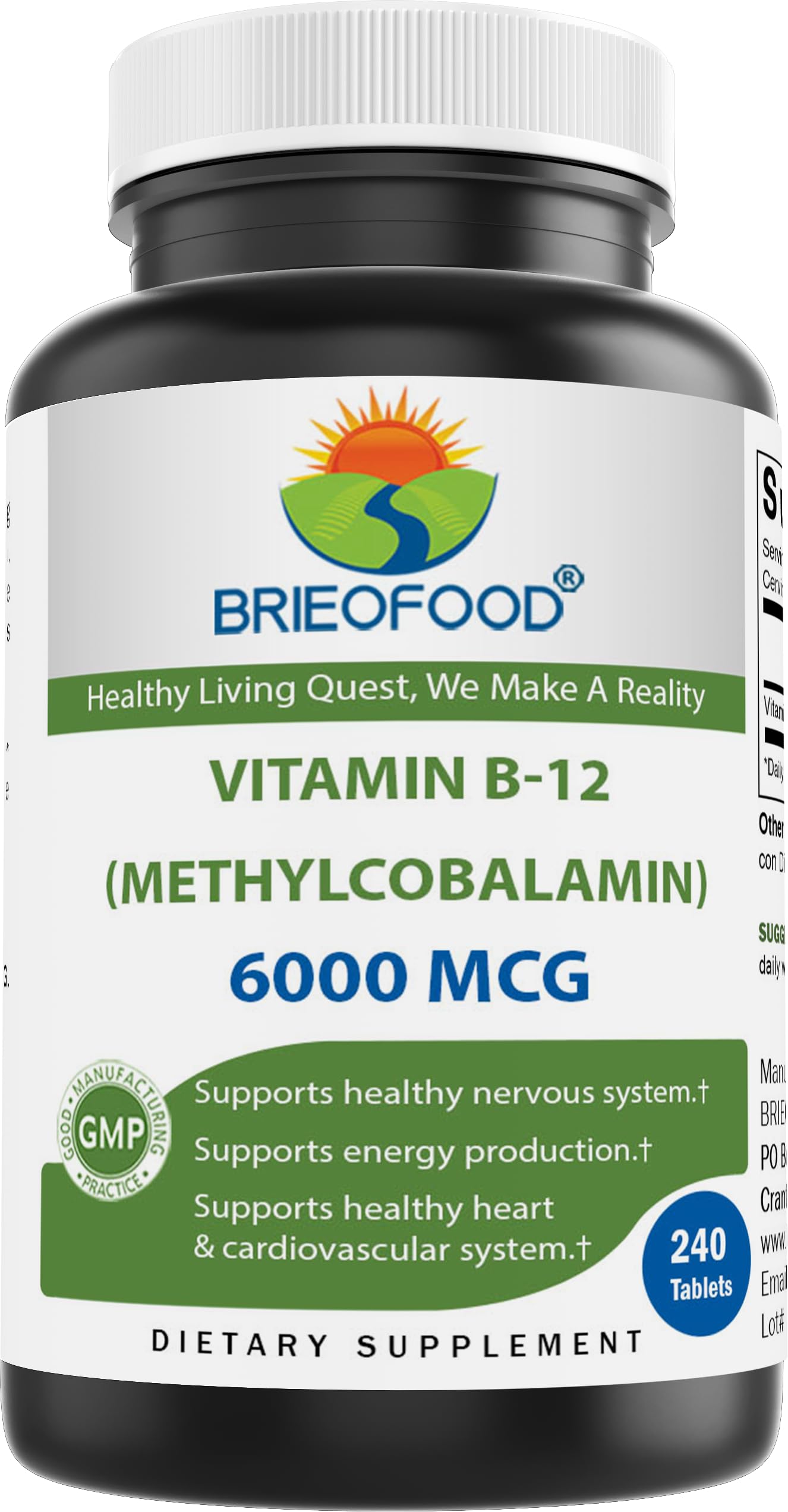 Brieofood Vitamin B-12 (Methycoballamin) 6000 mcg- 240 Tablets. Non-GMO, and Gluten Free 240 Count (Pack of 1)