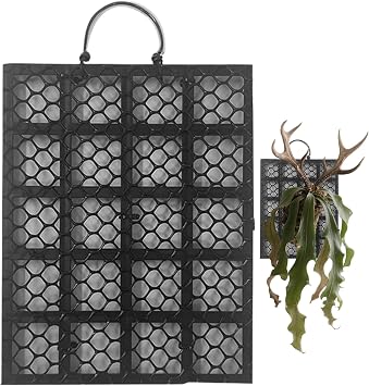Staghorn Fern Mount Climbing Plants Holder Platycerium Orchids Mount