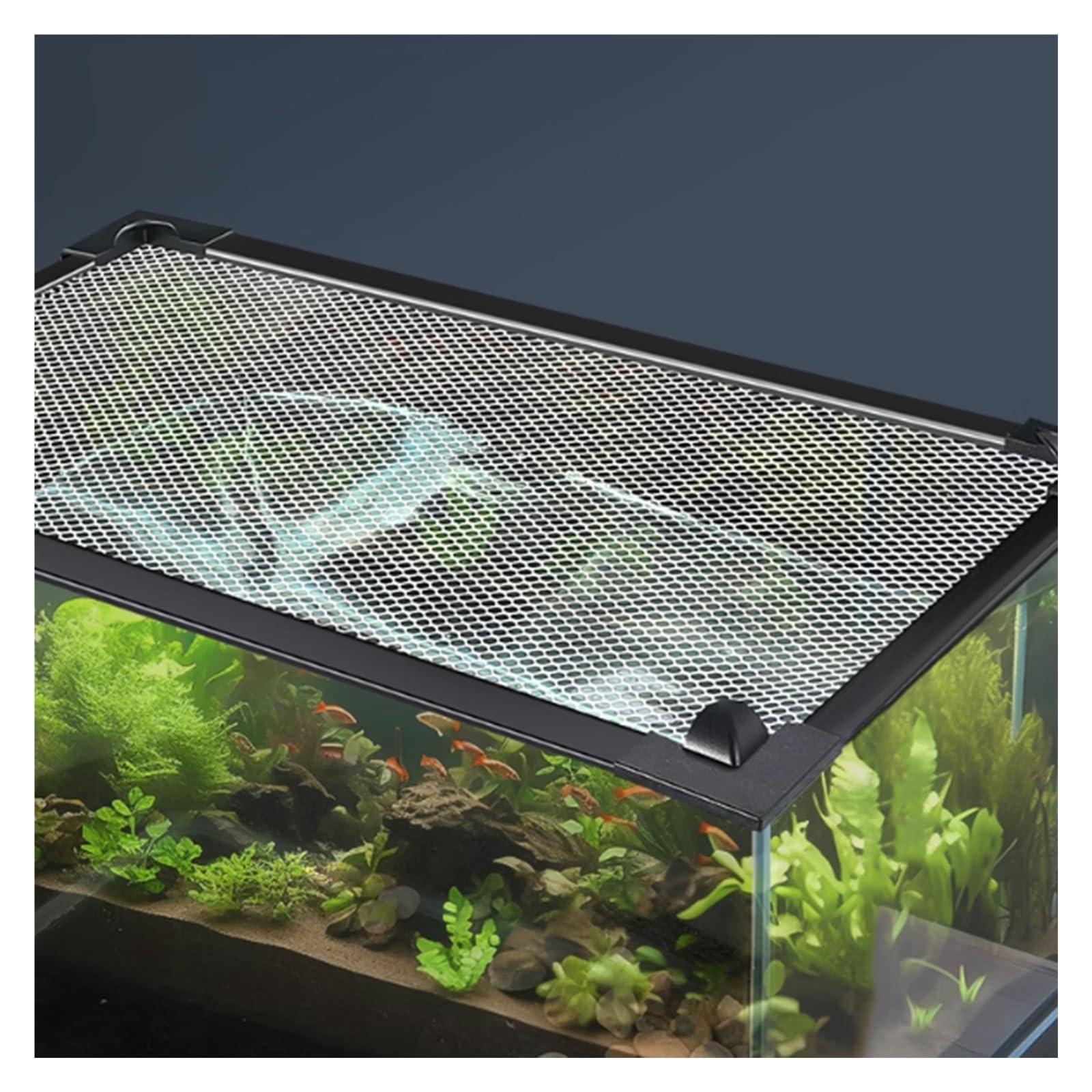 Coperchio per acquario di dimensioni personalizzate, copertura magnetica anti salto, per terrario e ventilazione, per evitare che i gatti catturino pesci, montaggio frontale/laterale (L80 x