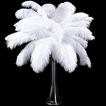 Tigeen 30 Pcs Natural Ostrich Feathers Bulk 10-12 Inch,12-14 Inch Plumes for Centerpieces for Wedding Party Flower Arrangement Home Halloween Decoration White