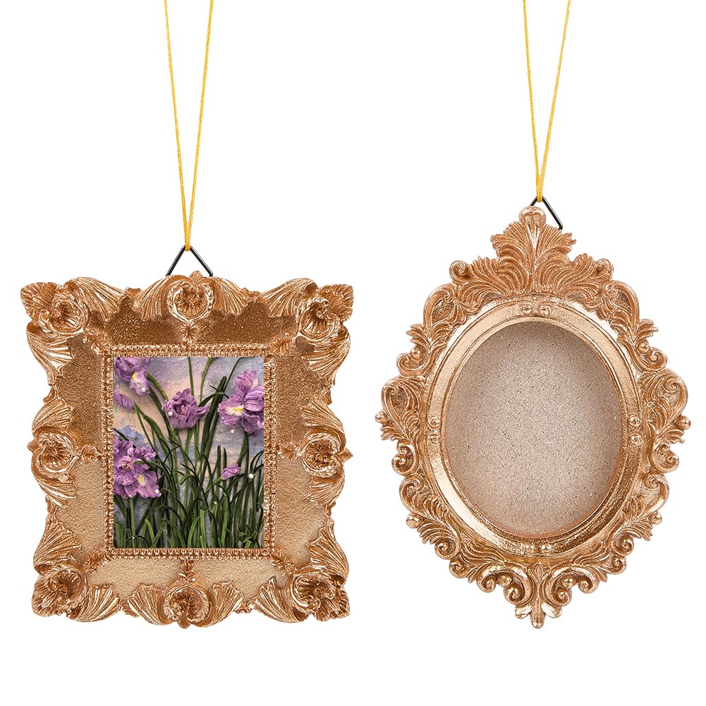 SOFPLATE 1 Box 2 Styles Mini Gold Photo Frames Antique Resin Picture Frames Bulk Baroque European Embossed Oval Square Jewellery Display Frame for Wall Hanging Gifts Home Hotel Decorations DIY Crafts