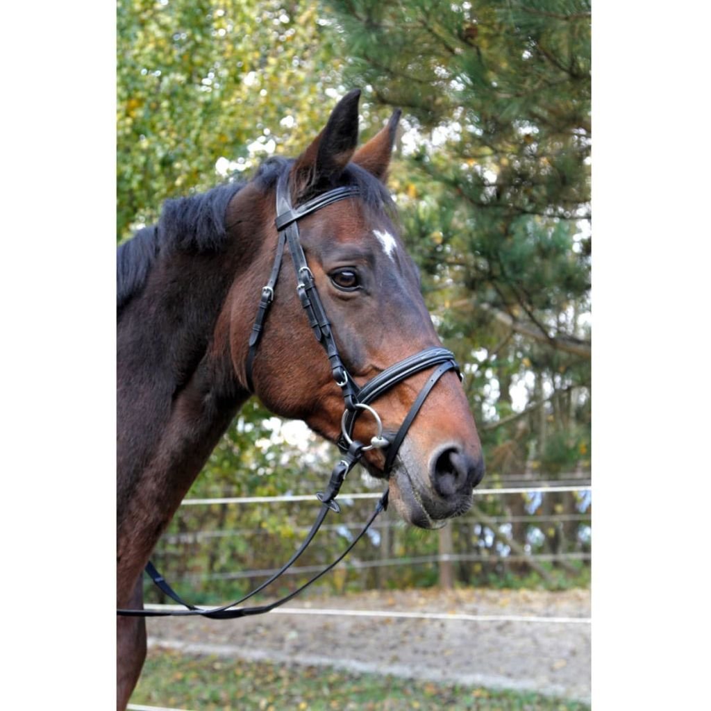 Covalliero Kerbl 326137 Trensenzaum Classic
