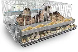 Gaiola Codorna Viveiro Japonesa Poedeira Bateria Até 20 Aves