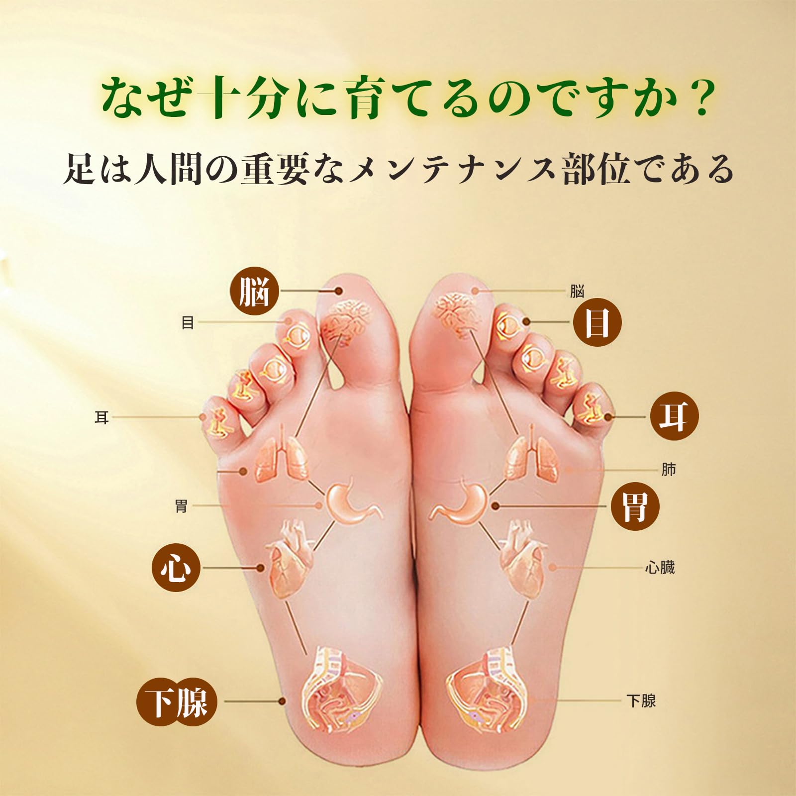 漢方ダイエット:足裏シート Amazon.co.jp: Seehealself 漢方足裏シート、樹液シート、天然ハーブ