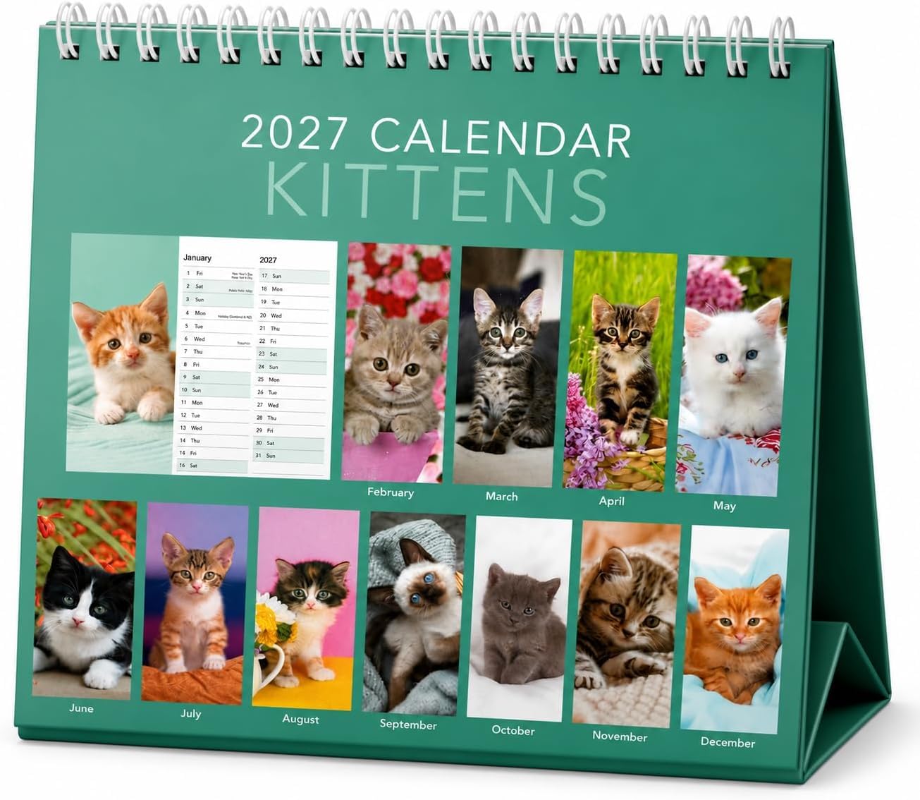 View 2
