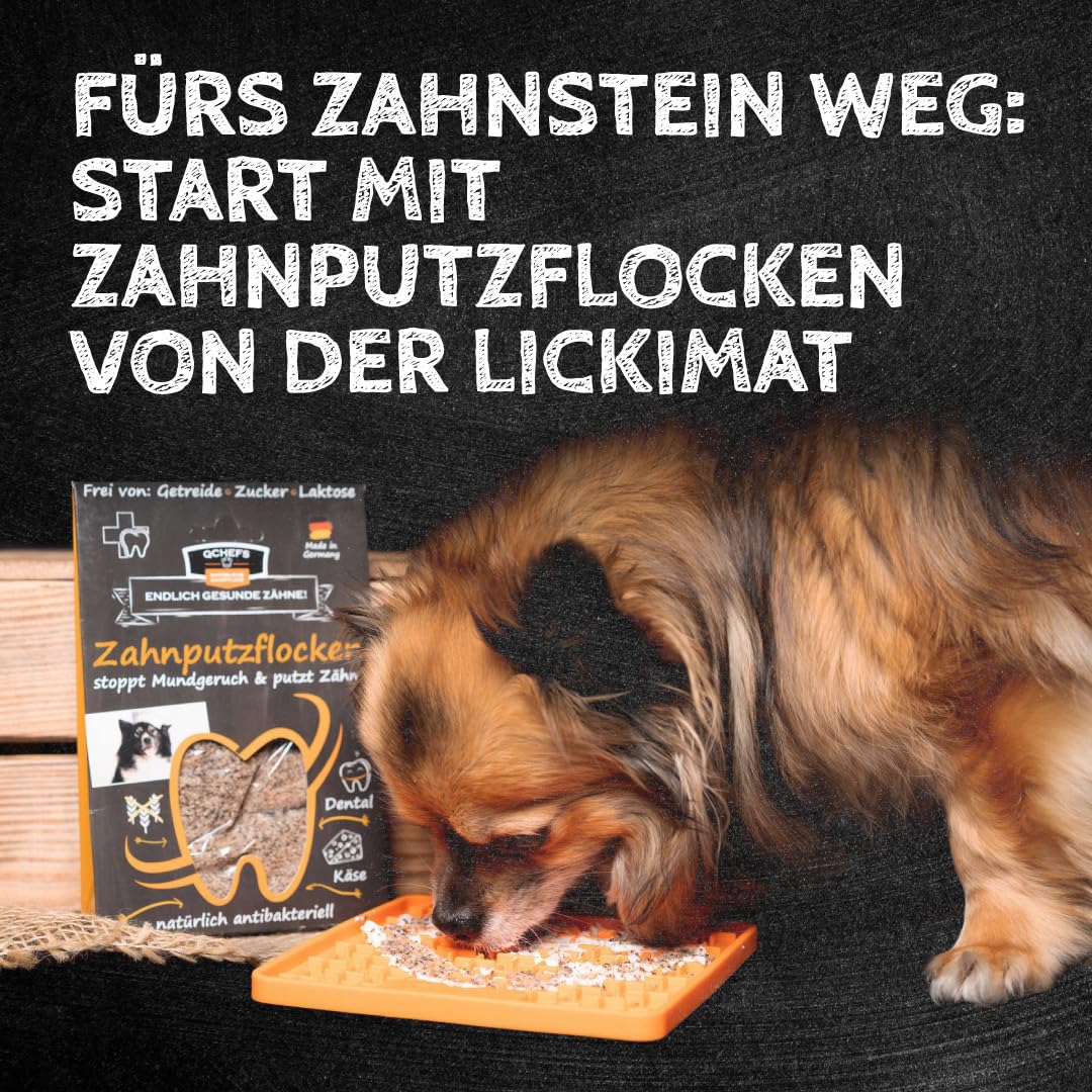 QCHEFS CHEESIES Hundeleckerli bei Mundgeruch, Zahnfleischentzündung als Zahnsteinentferner durch natürlich antibakterielle Zahnpflege ohne Dentalspray oder Zahnbürste für die Gesundheit