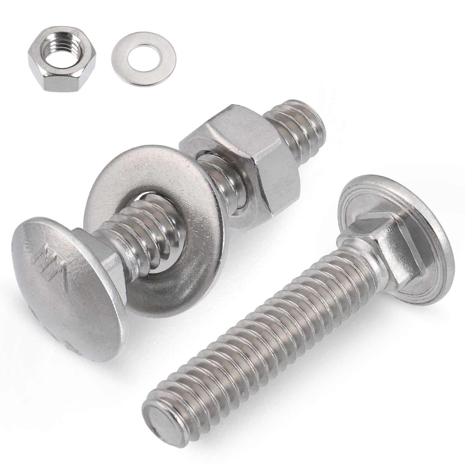 Stainless Steel Carriage Bolts - 24 Sets -1