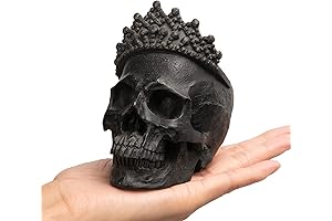 Newman House Studio Black Skull Decor