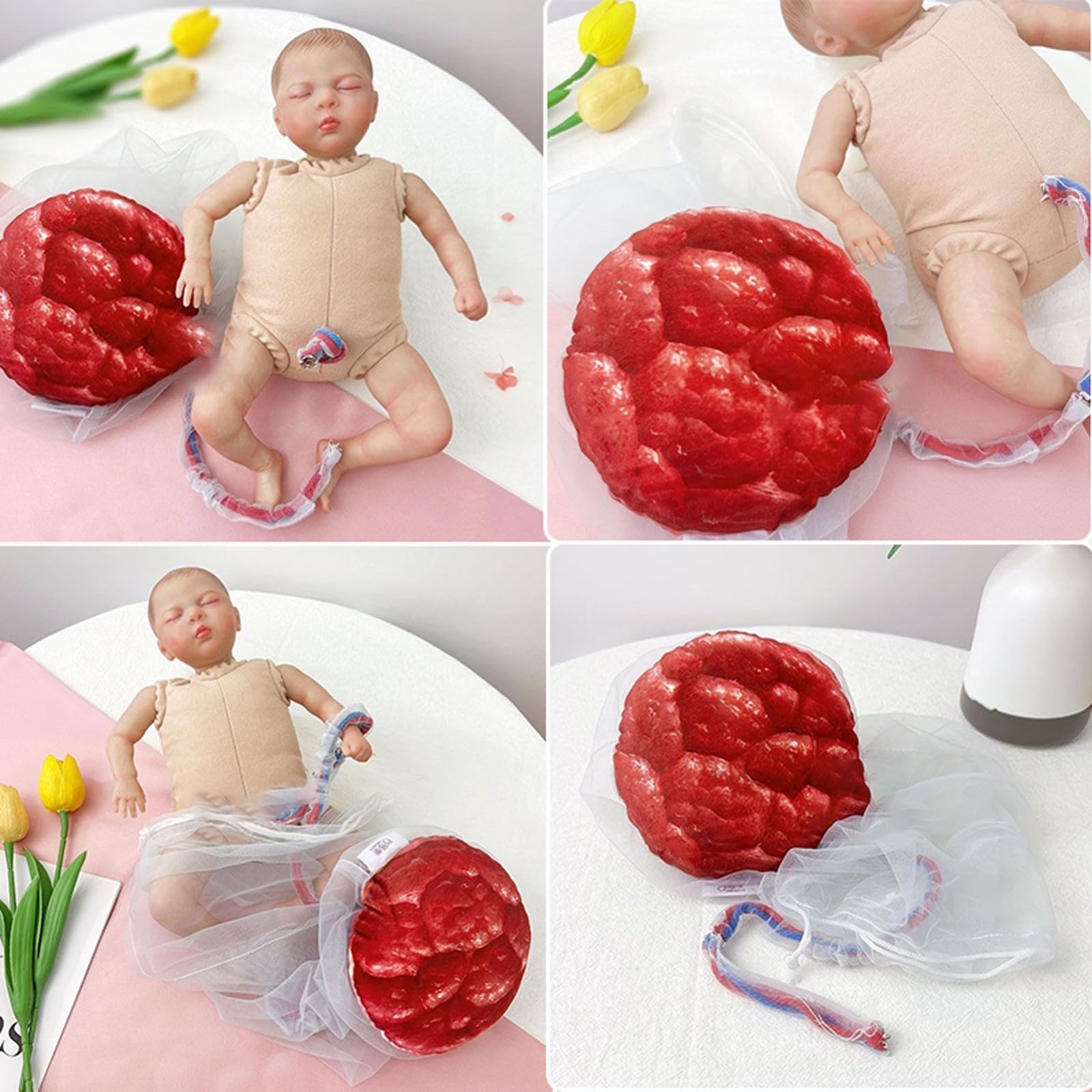 Modèle de bassin de démonstration d'accouchement, section pelvienne féminine humaine, grossesse, fœtus anatomique, cordon ombilical, placenta, simulateur d'accouchement pour étude