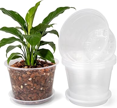8 Inch Clear Nursery Pots with Saucers, 10 Pack Large Plastic Pot for Plant