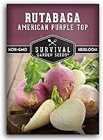 Survival Garden Seeds American Purple Rutabaga Seeds - Non-GMO Heirloom Brassica Napus for Home Vegetable Garden Planting Kit