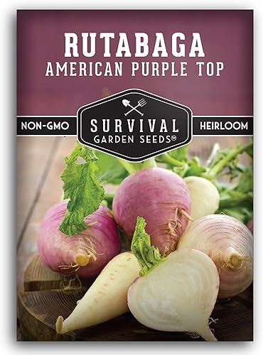 Miniatura 7 de Survival Garden Seeds - Semilla de Rutabaga púrpura americana para plantar - 2 paquetes con instrucciones para plantar y cultivar Brassica Napus en
