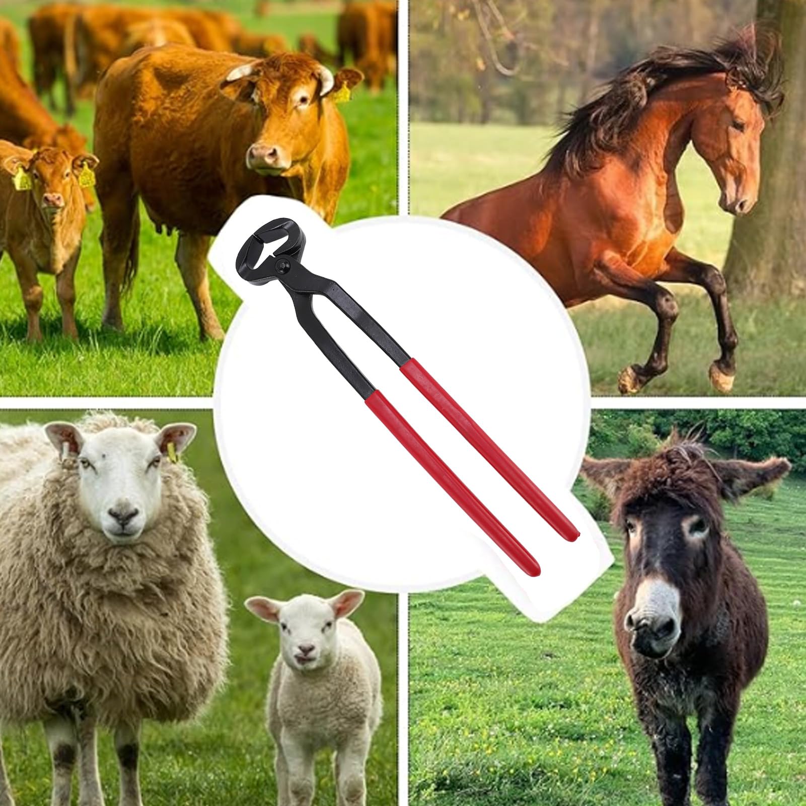 Generic Obcinacz do Kopyt Farrier Wytrzymały Silikonowy Uchwyt Obcinacz do Kopyt Konia dla Właścicieli Klubów Konnych