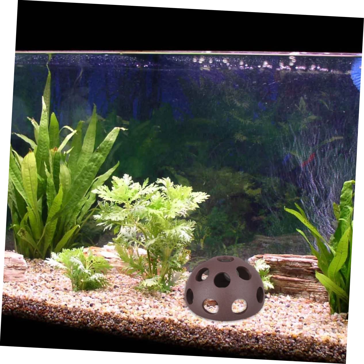 6stücke Keramische Zucht-Nester Für Garnelen Und Fische Poröse Halbkugeln Für Aquarien Für Aufzucht Unterschlupf Robuste Tontöpfe Für Unterwasser-Dekoration