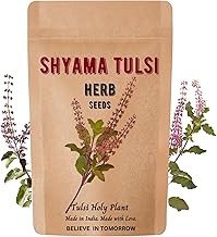 Shyama Tulsi Seeds for Planting | Tulsi Holi Plant Seeds for Gardening | Indian Tulsi Plant Seeds for Home Gardening & Planting Pack of 500 Seeds