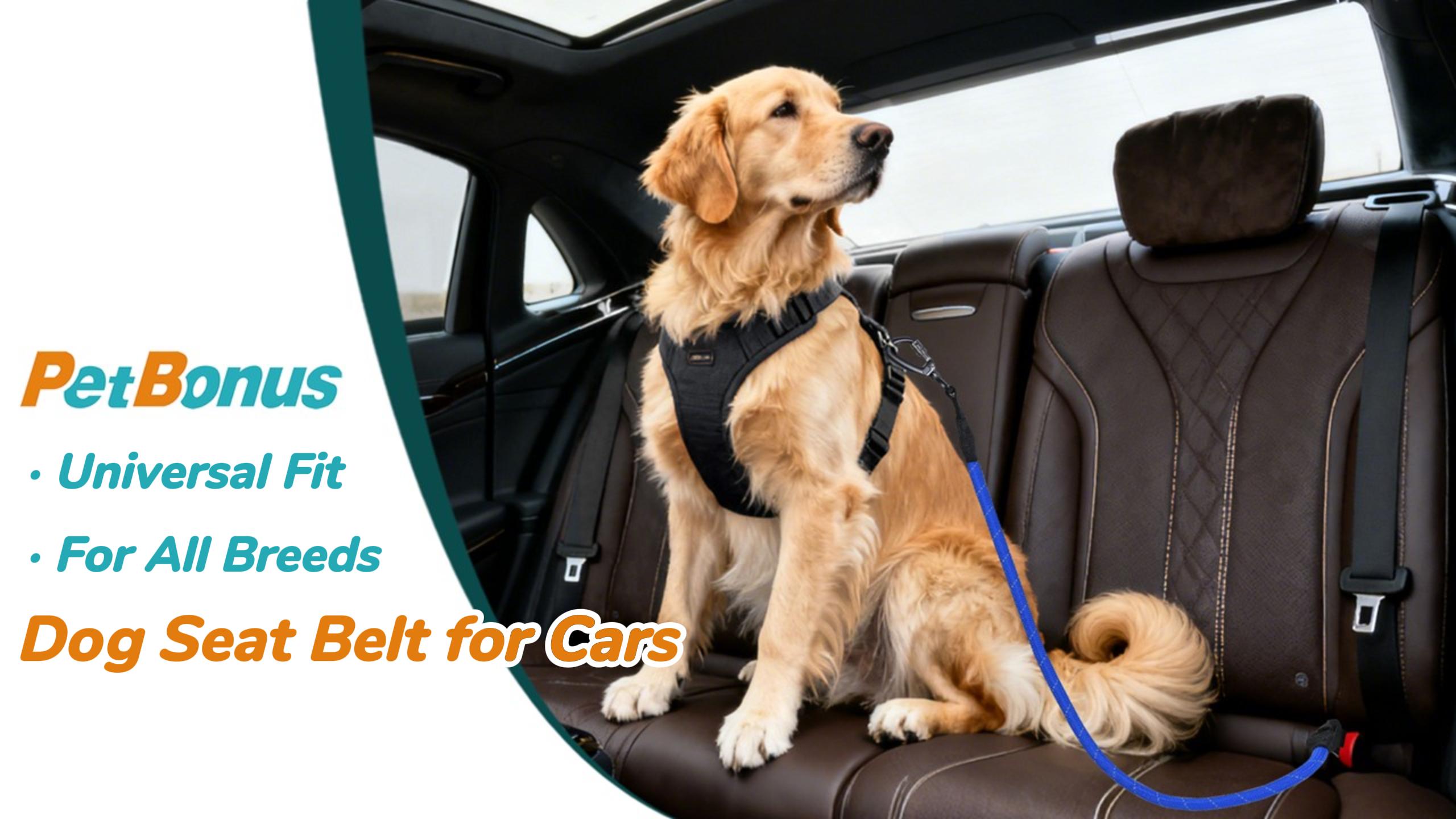 PetBonus Dog Seat Belt for Car, Durable Rope Dog Car Harness Seatbelt for Vehicle, Pet Tether Safety Restraint with Heavy Duty Buckle Hook Latch Lockable Clip for Small Medium Large Breeds (Black) - image 8