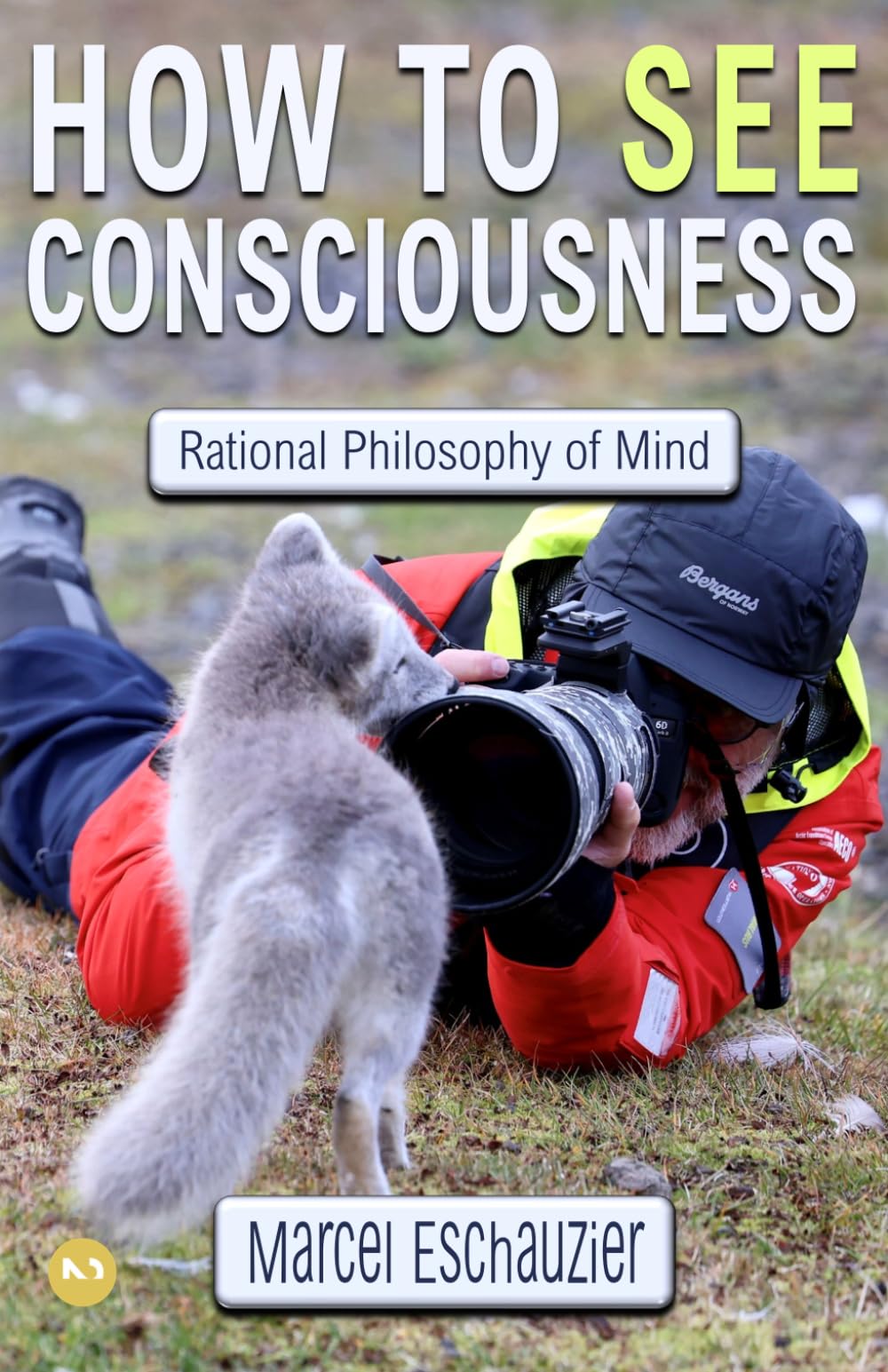 How to See Consciousness: Rational Philosophy of Mind (Simply Nondual Collection)