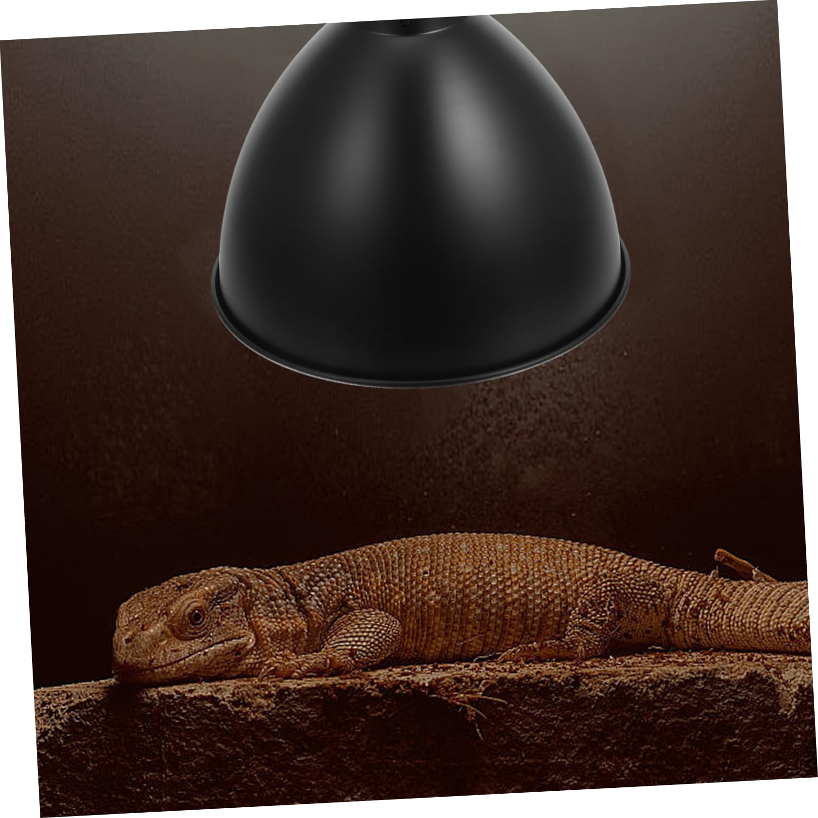 2Er-Box Reptilien lampen Schirm Beleuchtungsschirm für Reptilienhabitate UVB-Lampe Reptilienlampenschirm Reflektorlampe für Reptilien Lampenschirm für Reptilienbecken Eisen Black