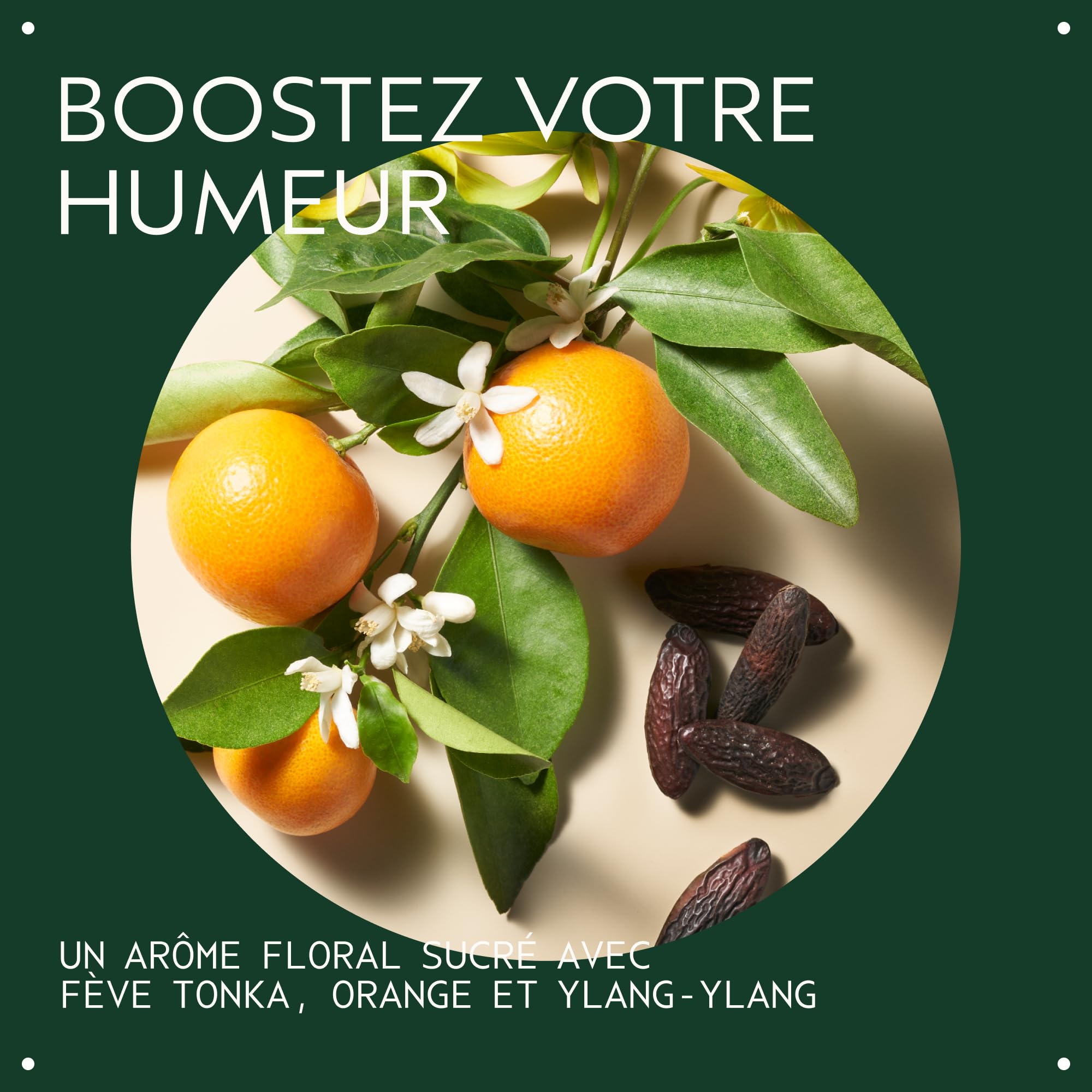 Aveda Cherry Almond Shampooing adoucissant | Shampooing doux quotidien | Cheveux normaux à secs | Sans silicone | Tonka, orange, ylang-ylang