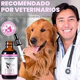Ver la foto 6