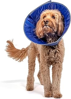 Calm Paws Dog Caring Collar W/Calming (Large)