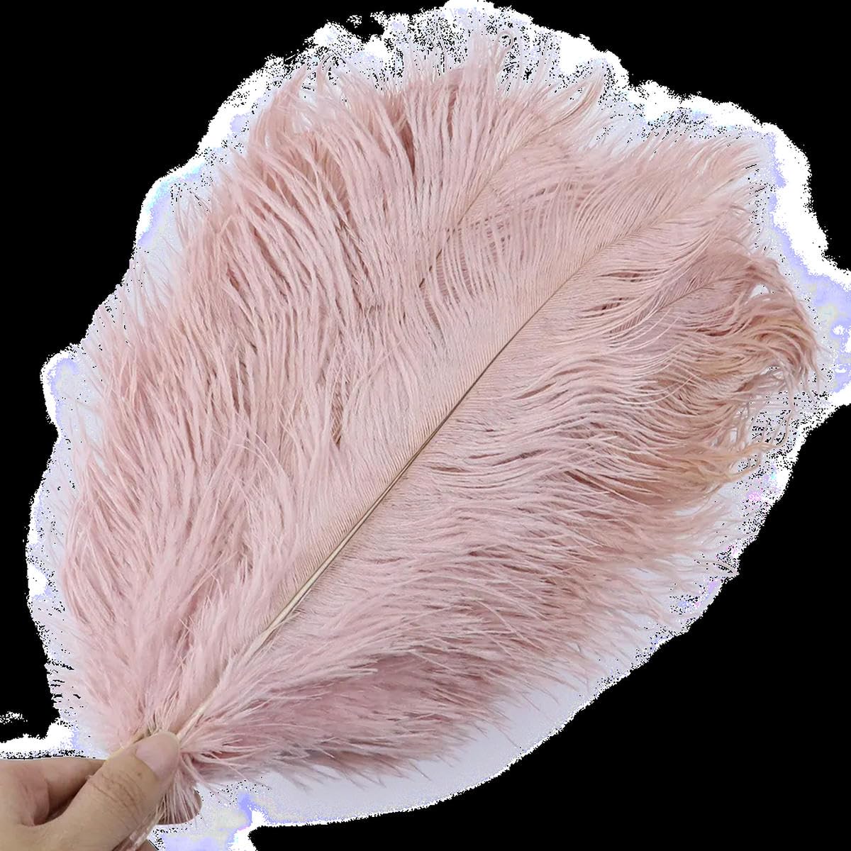 Piume di struzzo rosse 25-30 cm - Italia