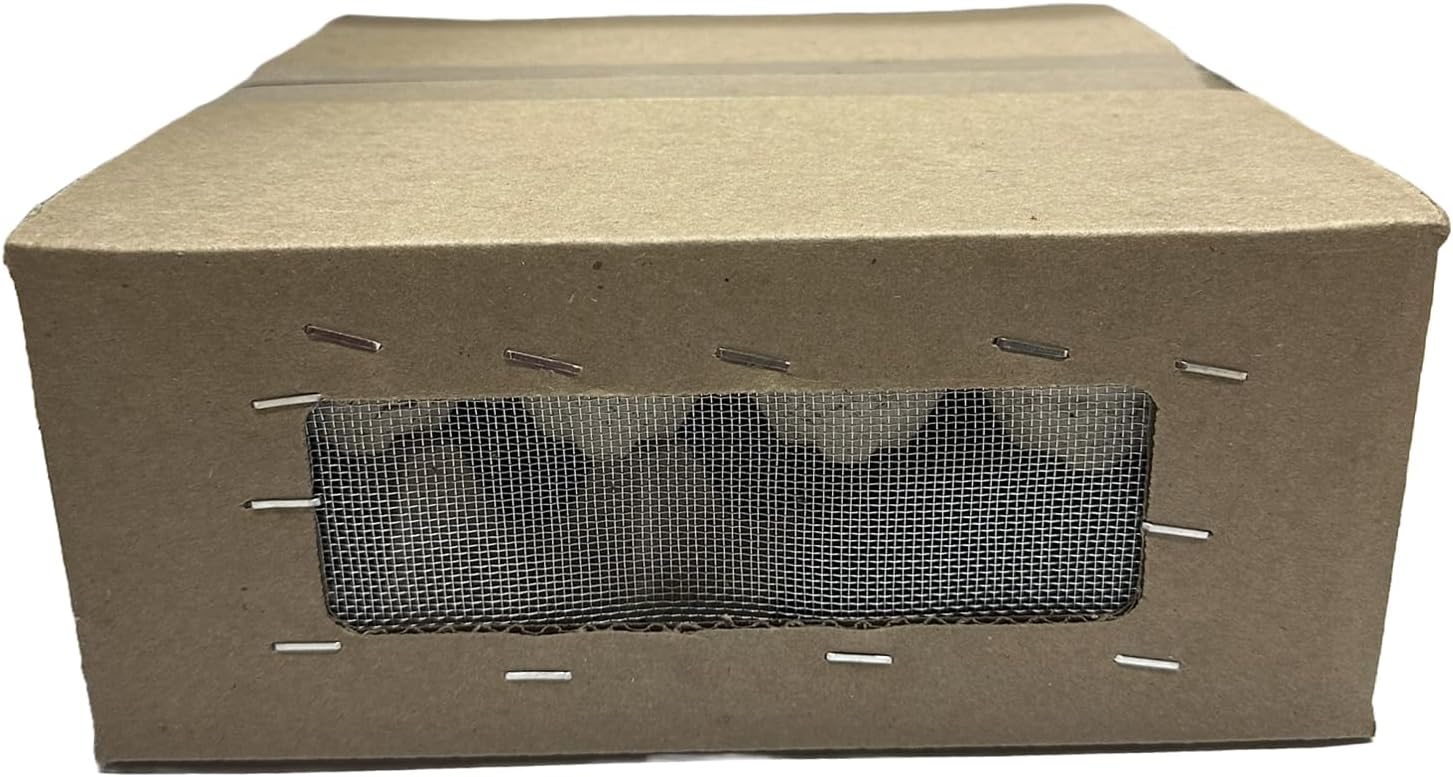 1000 Crickets - Small (2wk) 1/4" (Banded Cricket)