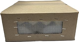 1000 Crickets - Small (2wk) 1/4" (Banded Cricket)