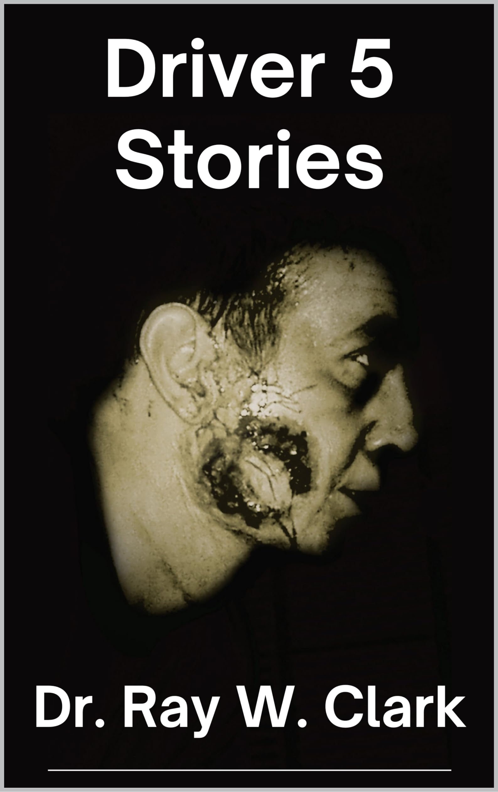 Driver 5 Stories