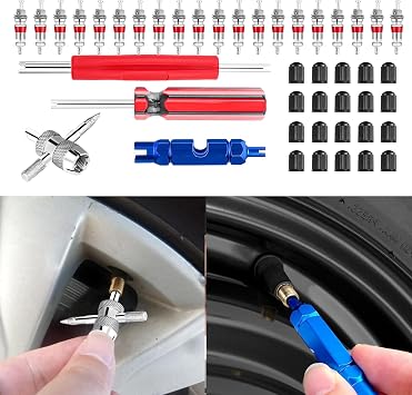 44Pcs Tire Valve Stem Repair Tool Kit, Tire Valve Core Remover Installer Tool Set with Valve Stem Caps, Universal Auto Tire Repair Tools for Cars Trucks