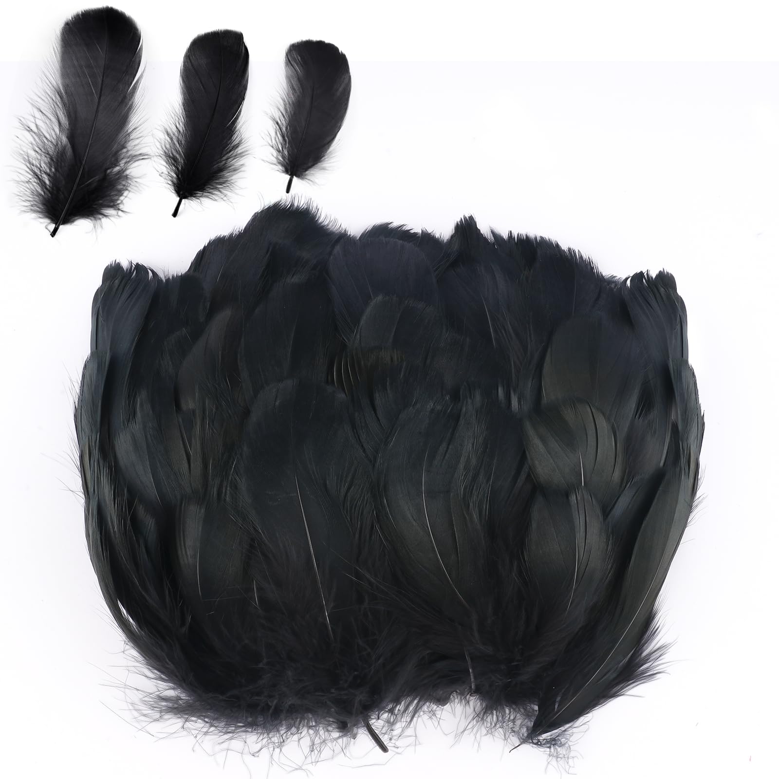 300 Stück Federn zum Basteln, Natürliche Bastelfedern, Federn Schwarz, Federn Basteln Fasanenfedern, Bastelfedern Deko, Indianer Feder für DIY DEK Ostern Halloween Maske Traumfänger Partydekorationen