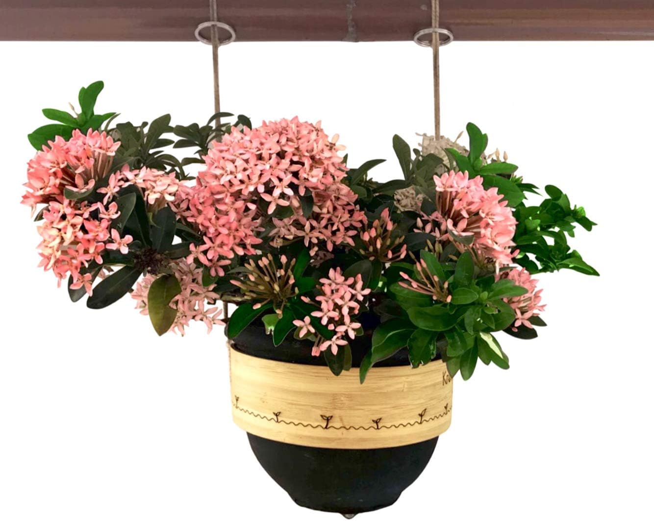 Kreliv Bamboo Terracotta Railing Pot - Railing Planter