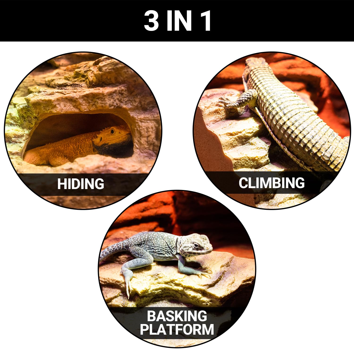 Reptile Hideout - Rampa de escalada para cuevas, plataforma para dragones barbudos, geco, tortuga, lagarto, serpiente, rana