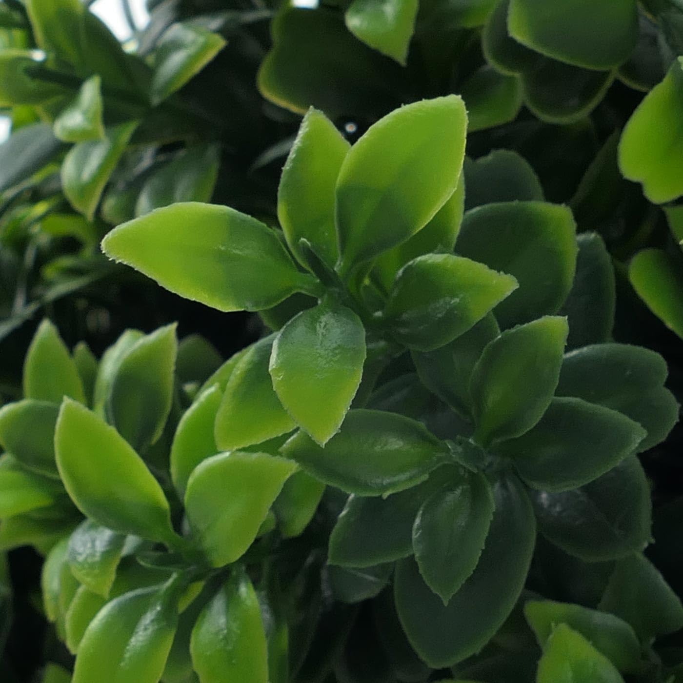 Mendler Künstlicher Buchsbaum HWC-Q89 90x35x35cm | Buchs, Buxus, im Topf, Dekobaum, Kunstpflanze, Kegel, naturgetreu immergrün Outdoor