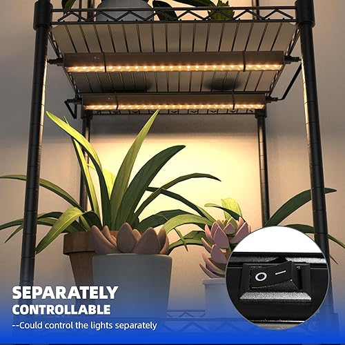 Miniatura 3 de Barrina Luces de cultivo para plantas de interior de espectro completo, lámpara LED de crecimiento de 1 pie, bombillas LED de cobertura negra para