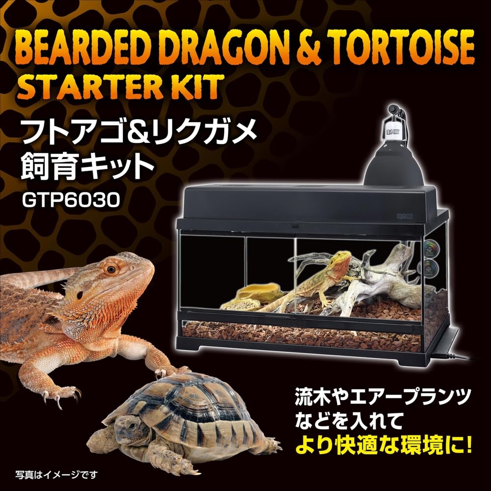 Amazon.co.jp: 【ジェックス】フトアゴ&リクガメ飼育キットGTP6030