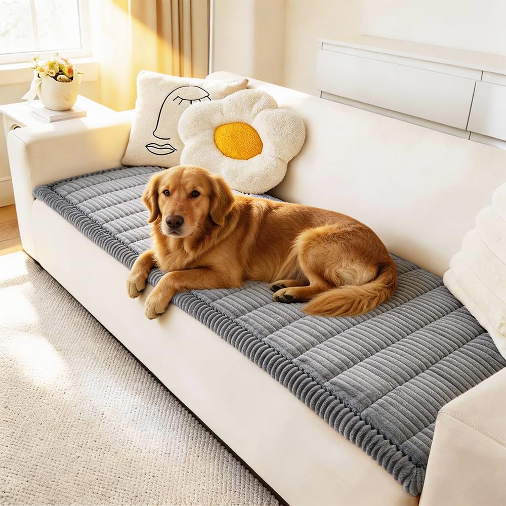 Amazon.com: Awjcsv Couch Cover for Dogs Washable, Fuzzy Pet Couch