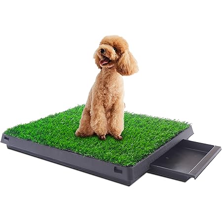 fake grass patch for dogs
