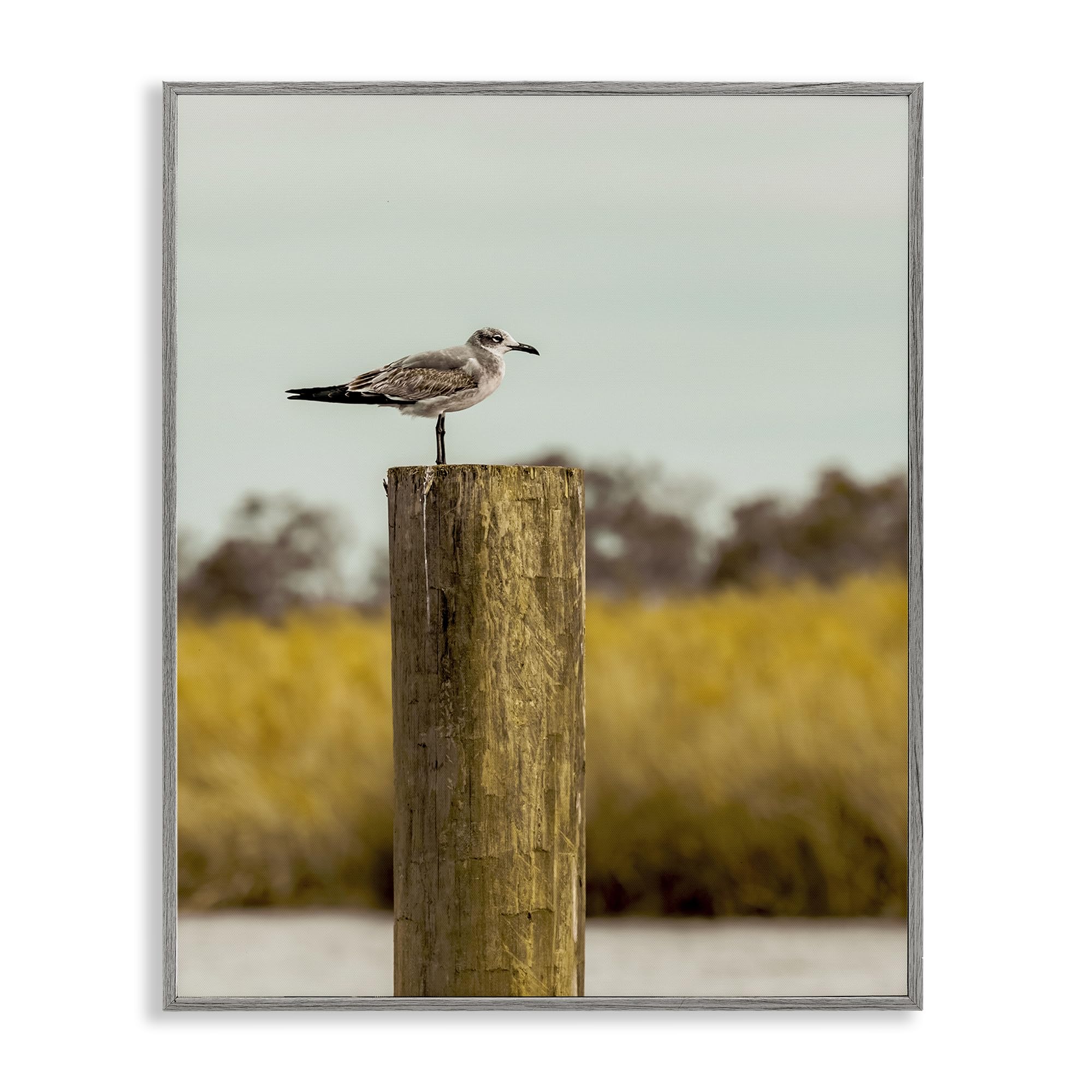Stupell Industries 'Gull On Piling', Framed Giclee Art, Gray, 11 x 14 Inches, Easy to Hang and Sturdy, Made in USA, by Christy Berry