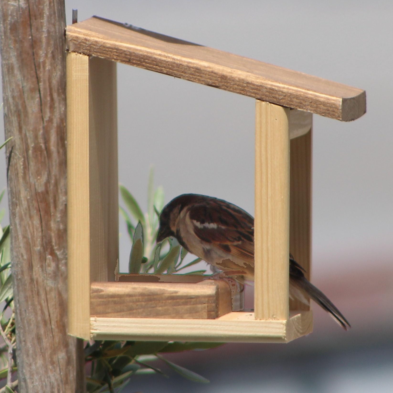 Mangeoire pour oiseaux 'Basic'