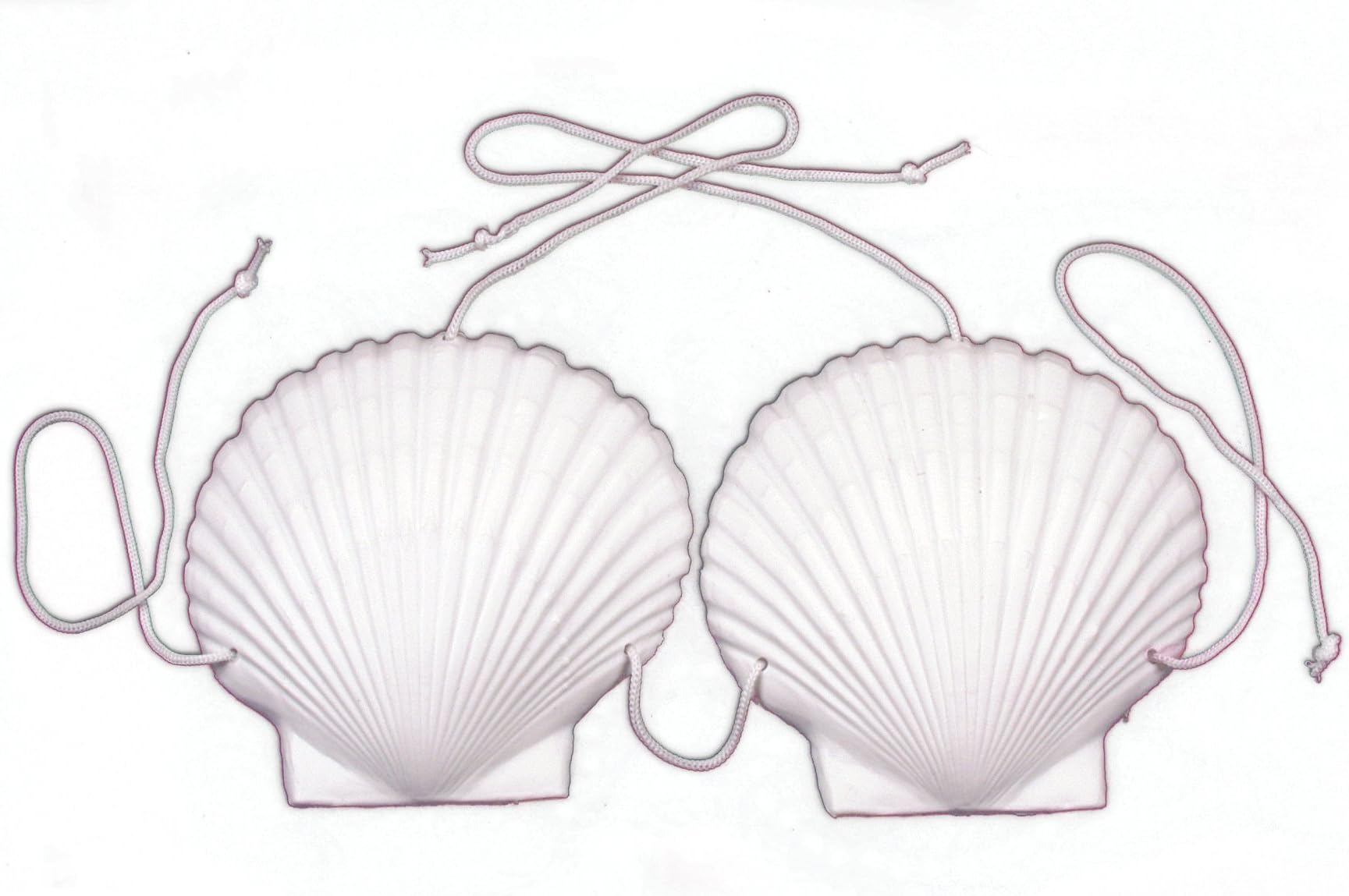 Loftus International Loftus Mermaid Adult Sea Shell Bra Bikini Top White One Size Novelty Item