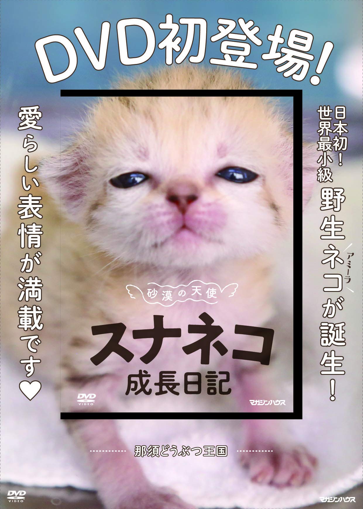 砂漠の天使スナネコ成長日記 (DVD) | , マガジンハウス |本 | 通販