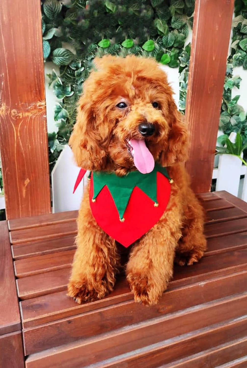 DOG-O-BOW Christmas Scarf for Dogs (S) (B0CQMN8JMT) Amazon Price History, Amazon Price Tracker