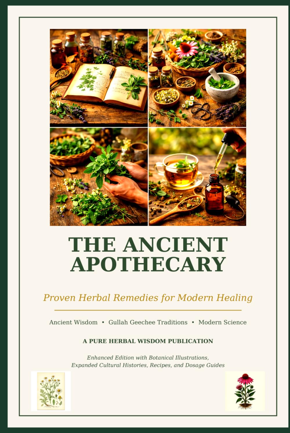The Ancient Apothecary: Proven Herbal Remedies for Modern Healing