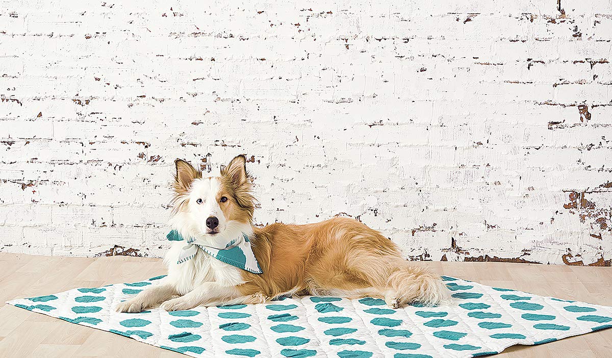carol & frank Pet Dog Or Cat Quilt Blanket Bed Dot Pattern Lagoon 40 x 50 Lagoon (Light Blue)