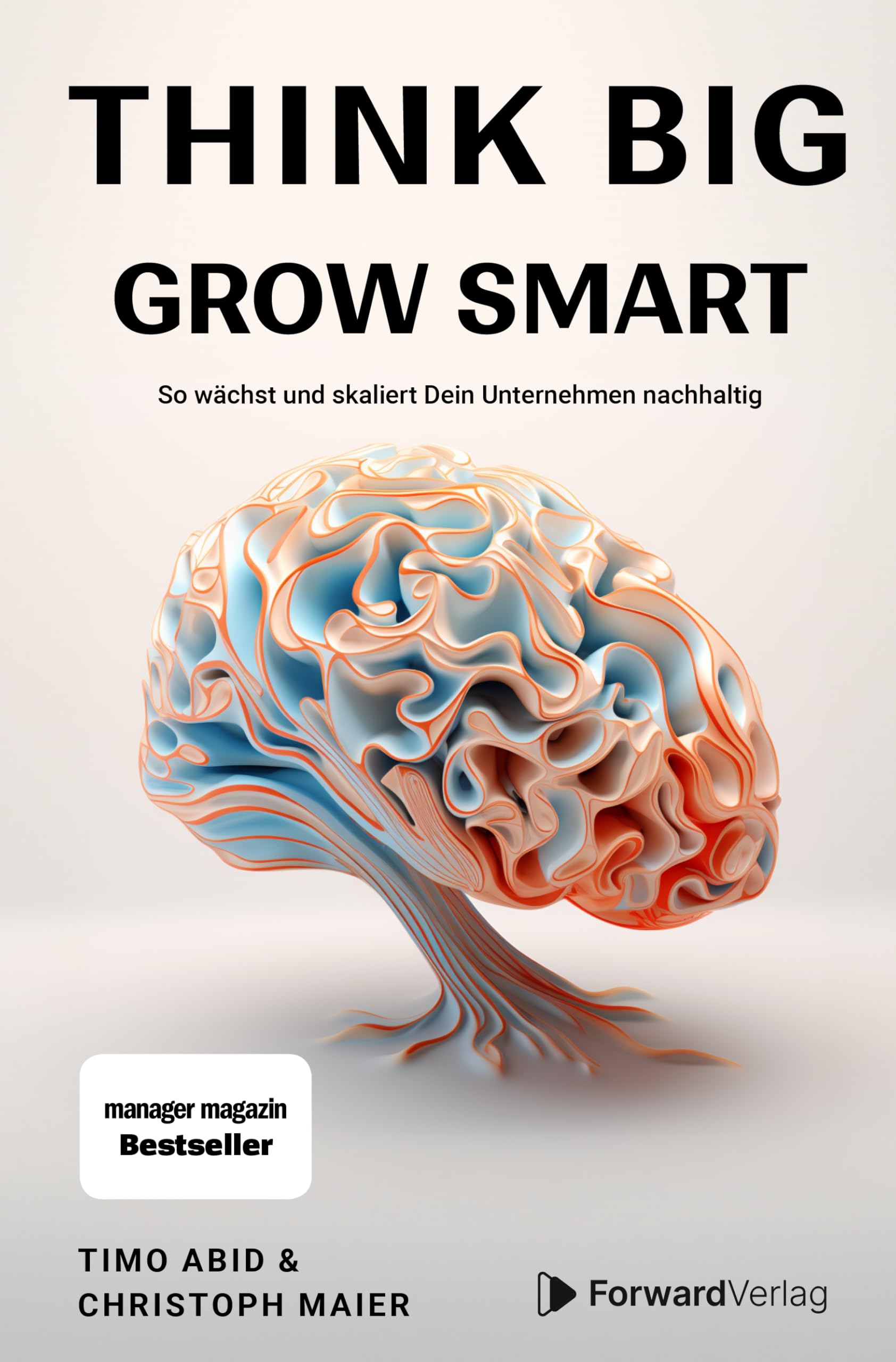 Think Big, Grow Smart: So wächst und skaliert Dein Unternehmen nachhaltig. Unternehmertum, Skalierung, Wachstum. Eine Anleitung für deinen Erfolg im Business.